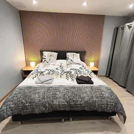 F2 En Duplex Au Coeur D'epinal - Centre-ville Épinal